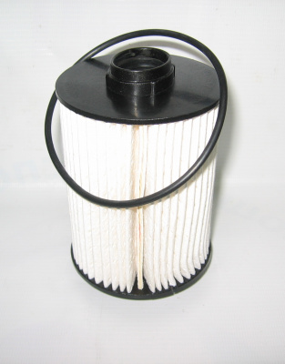 фото fs-19925 элемент тф (газель, cummins, isf)  FS-19925 